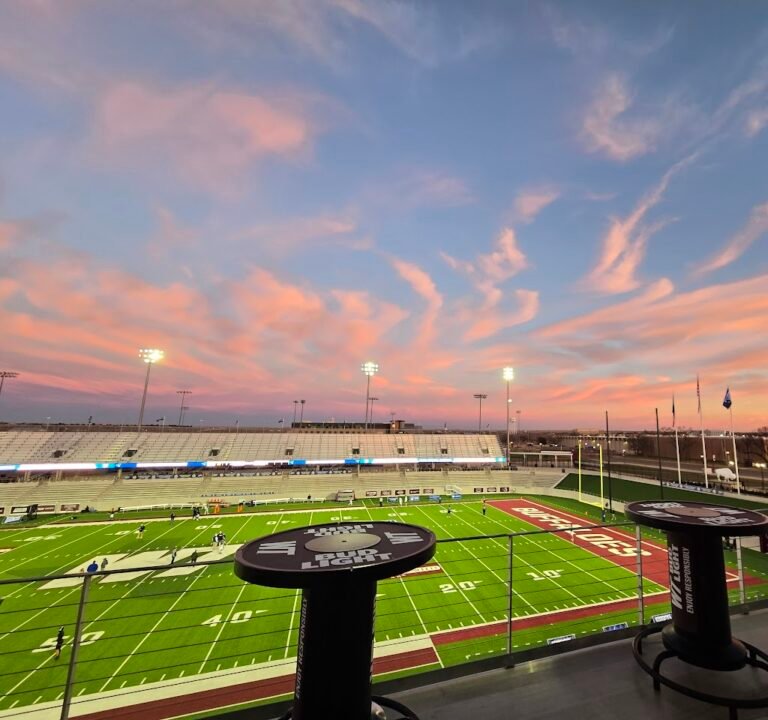 Soccer Field image 2