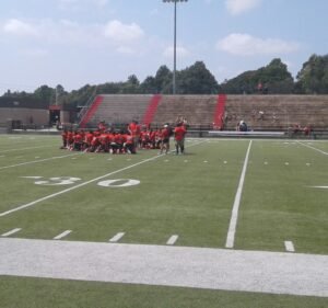 Soccer Field image 2