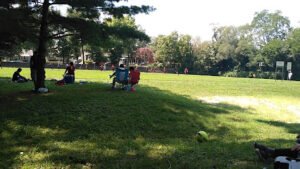 Soccer Field image 1