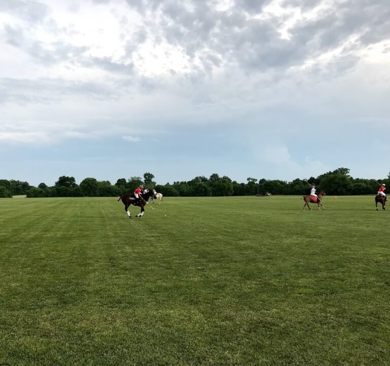 Soccer Field image 2