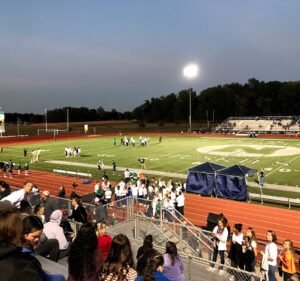 Soccer Field image 2