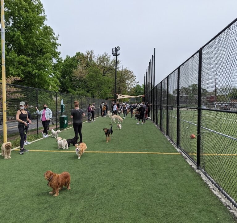 Soccer Field image 2