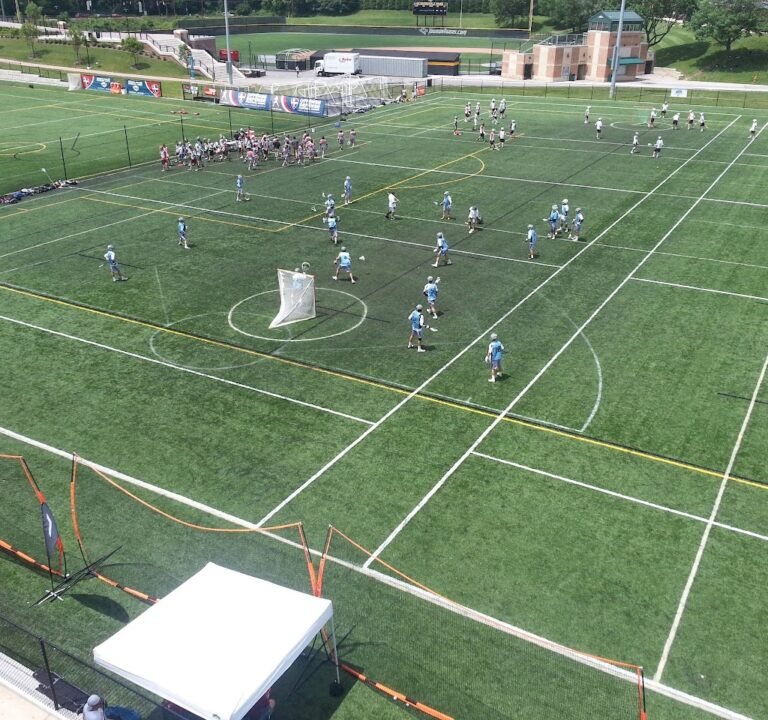 Soccer Field image 2