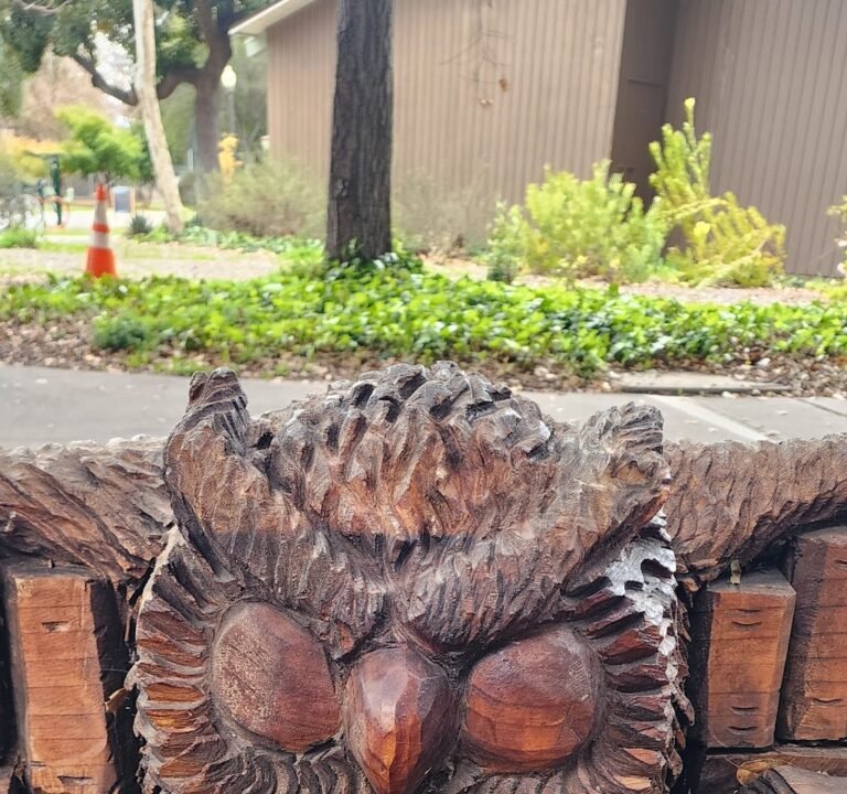 Soccer Field image 3