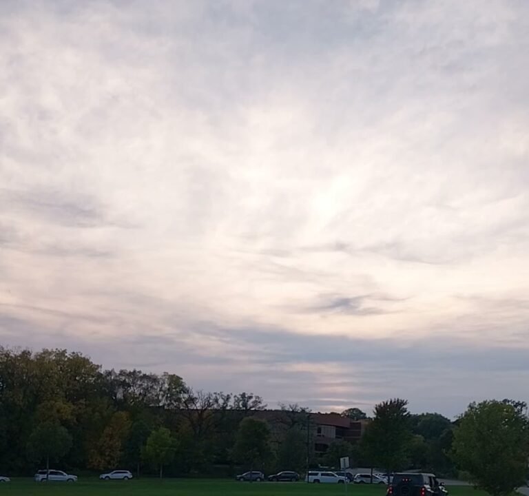 Soccer Field image 4