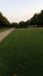 Soccer Field image 1