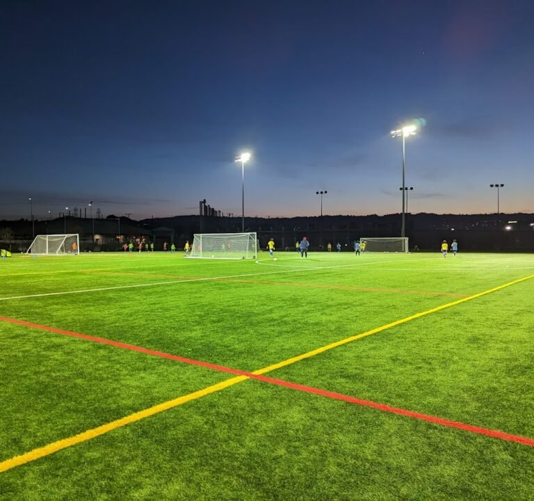Soccer Field image 2