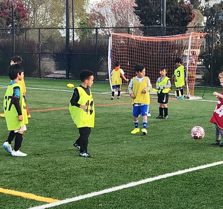 Soccer Field image 3