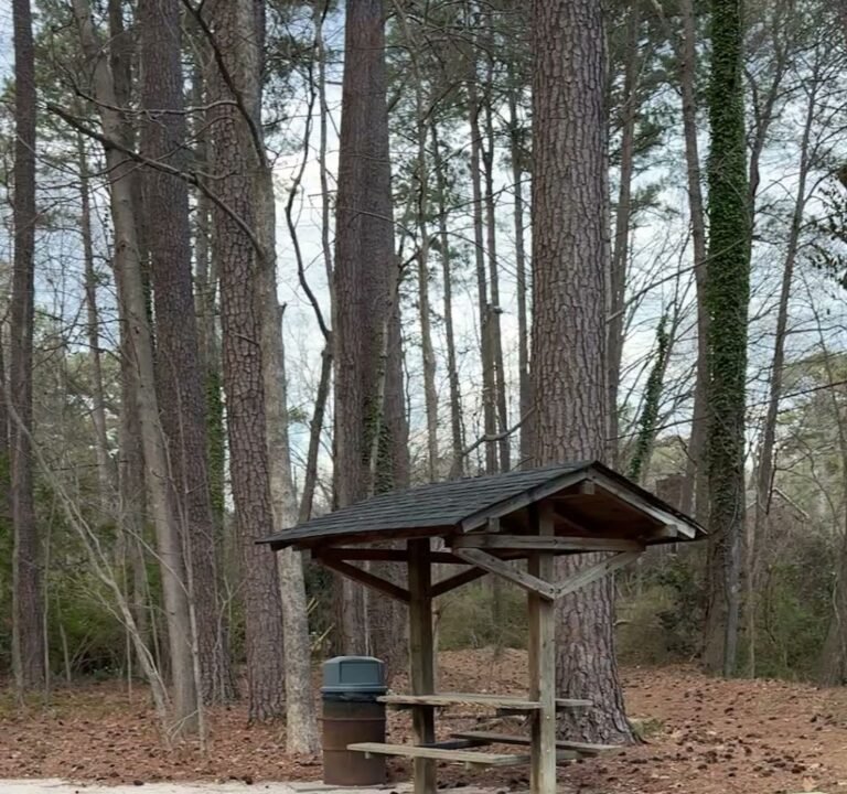 Soccer Field image 3