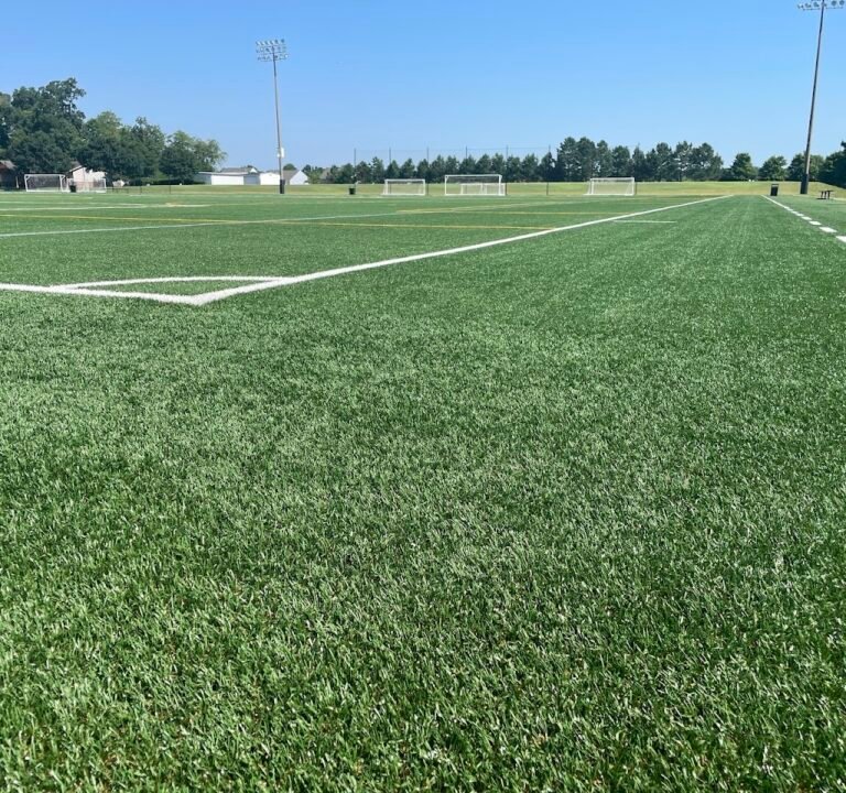 Soccer Field image 2