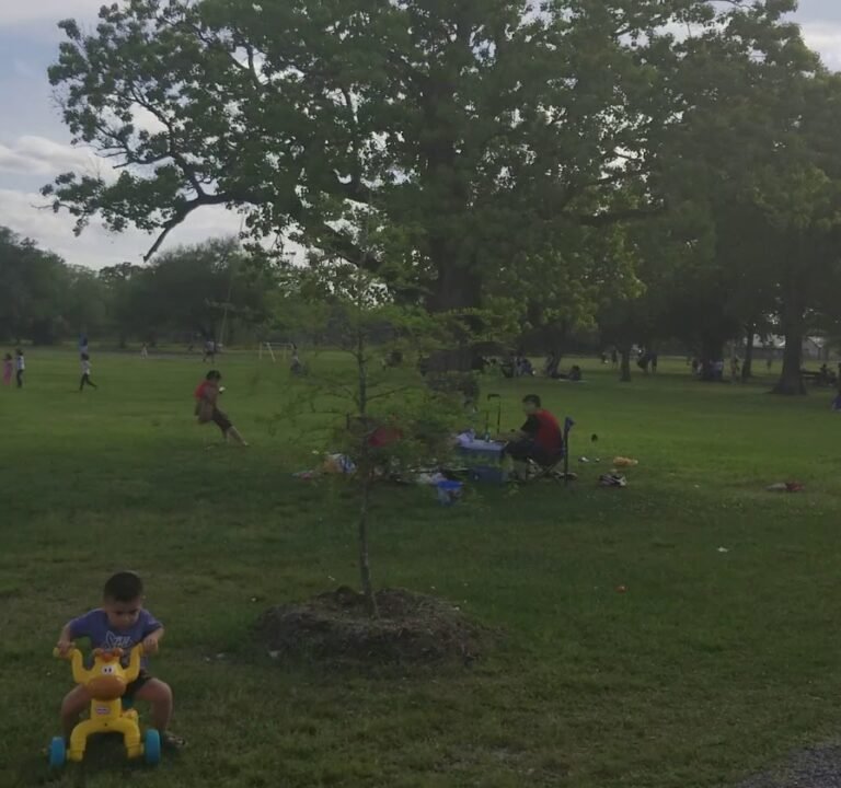 Soccer Field image 4