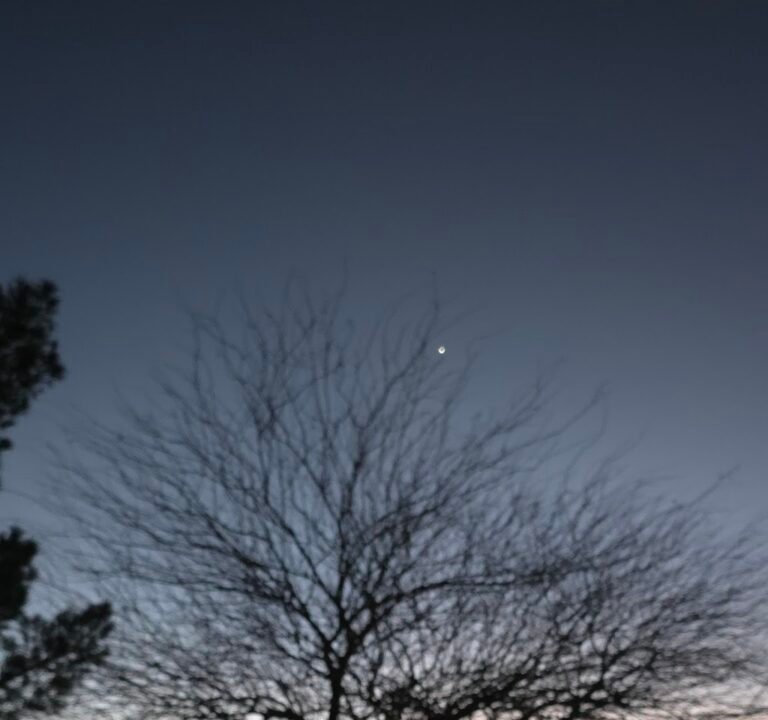 Soccer Field image 3