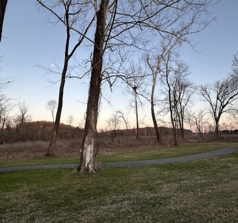 Soccer Field image 3