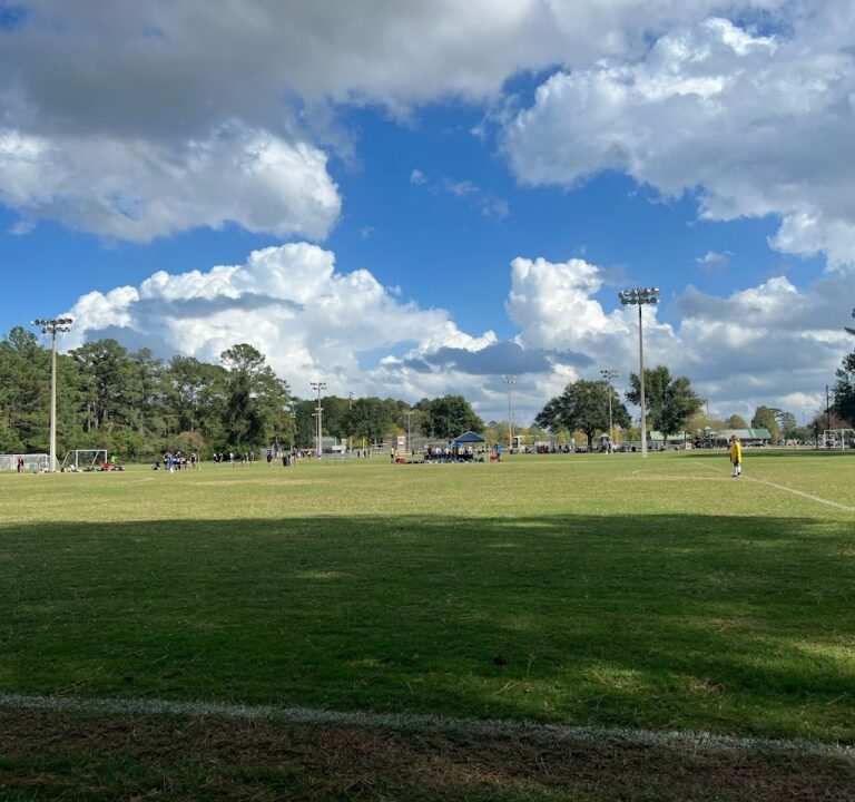 Soccer Field image 2