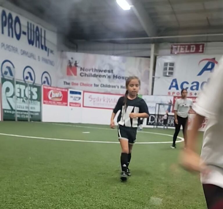 Soccer Field image 2