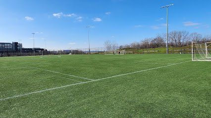 Soccer Field image 1