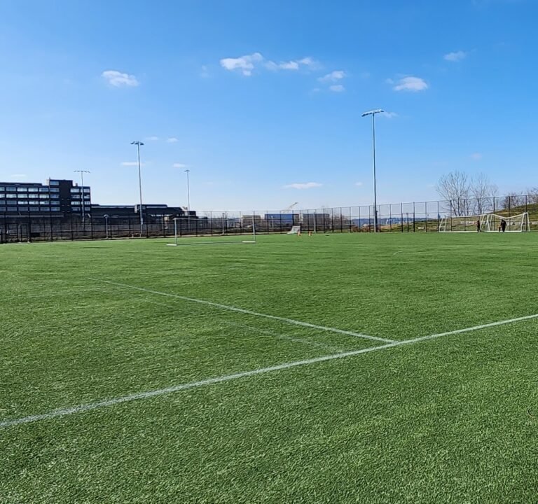 Soccer Field image 2