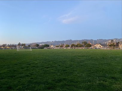 Soccer Field image 1