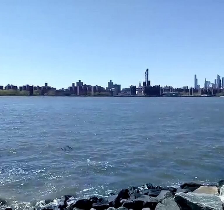 Soccer Field image 4