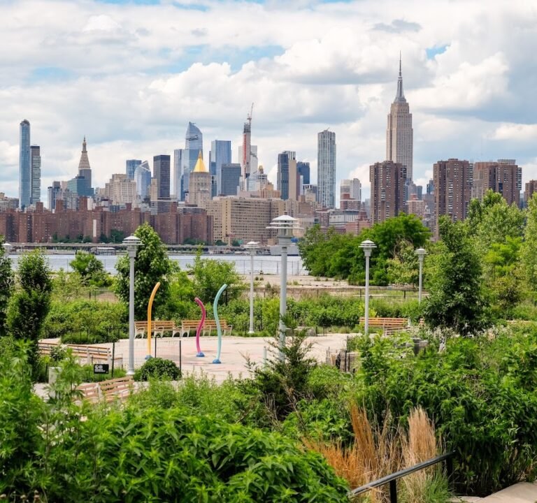 Soccer Field image 2