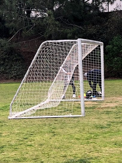 Soccer Field image 1