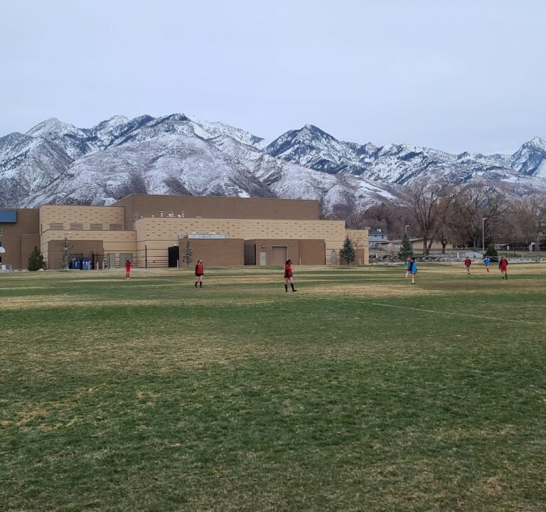 Soccer Field image 2