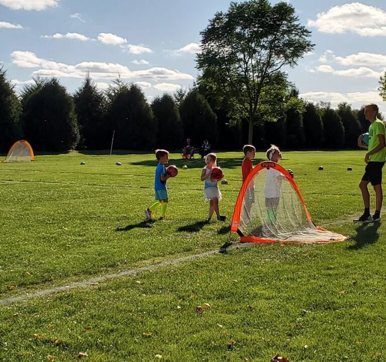 Soccer Field image 2