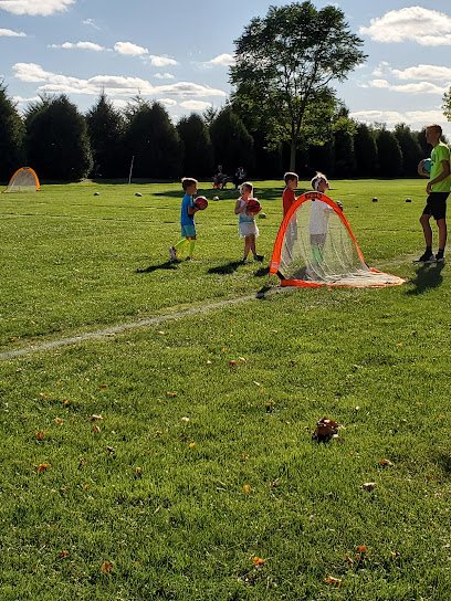 Soccer Field image 1