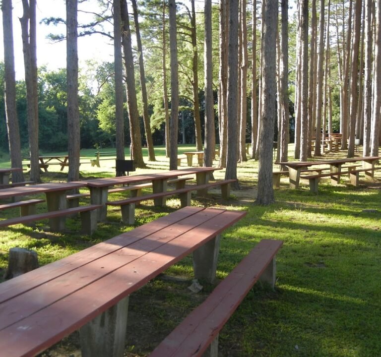 Soccer Field image 2