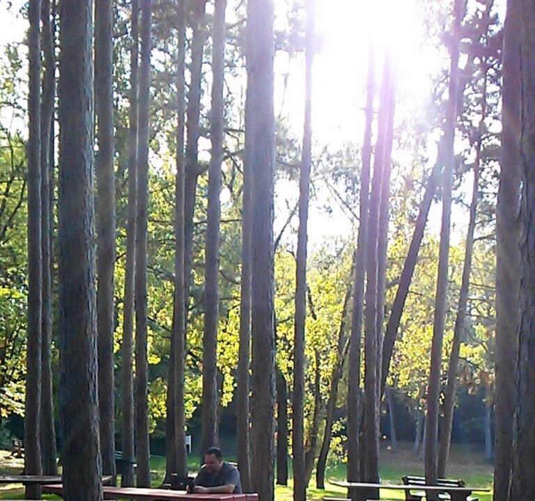 Soccer Field image 3