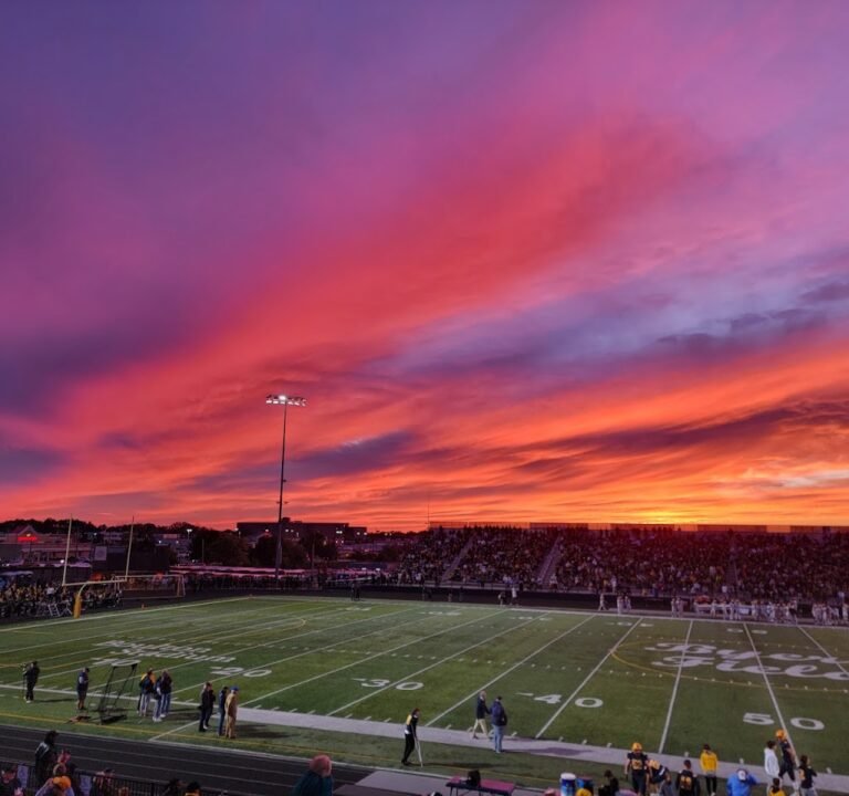 Soccer Field image 2
