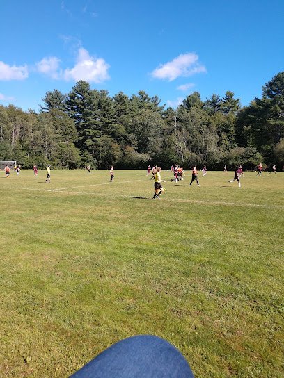 Soccer Field image 1