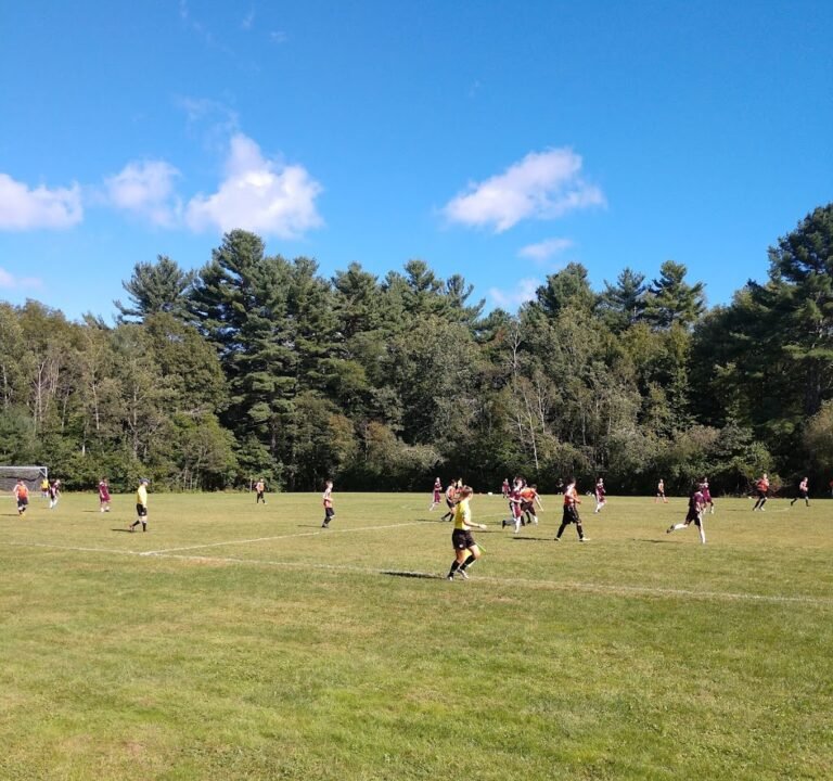 Soccer Field image 2