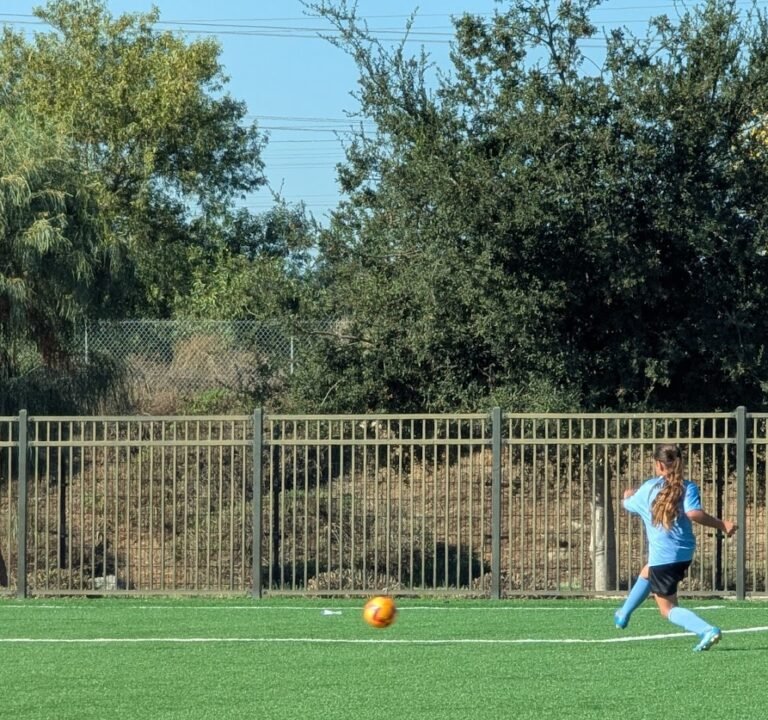 Soccer Field image 2