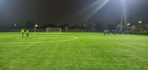 Soccer Field image 1