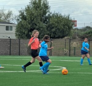Soccer Field image 3