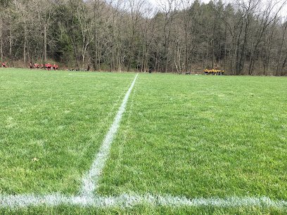 Soccer Field image 1