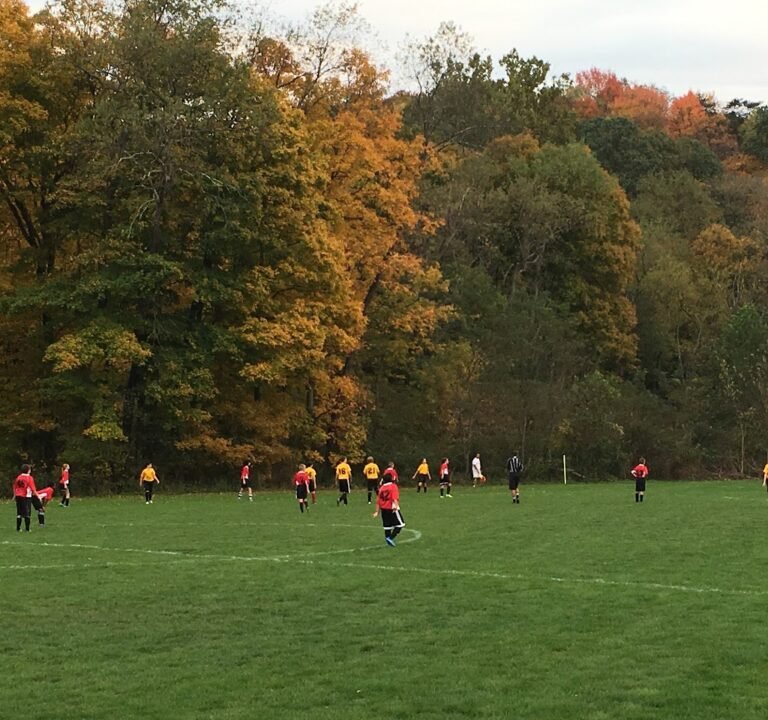 Soccer Field image 2