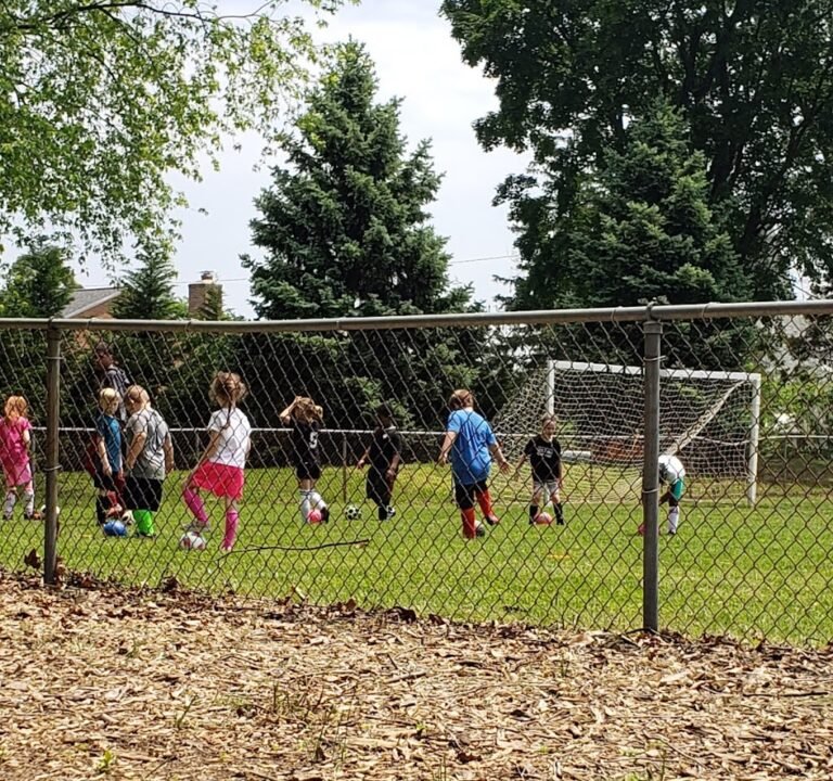 Soccer Field image 3