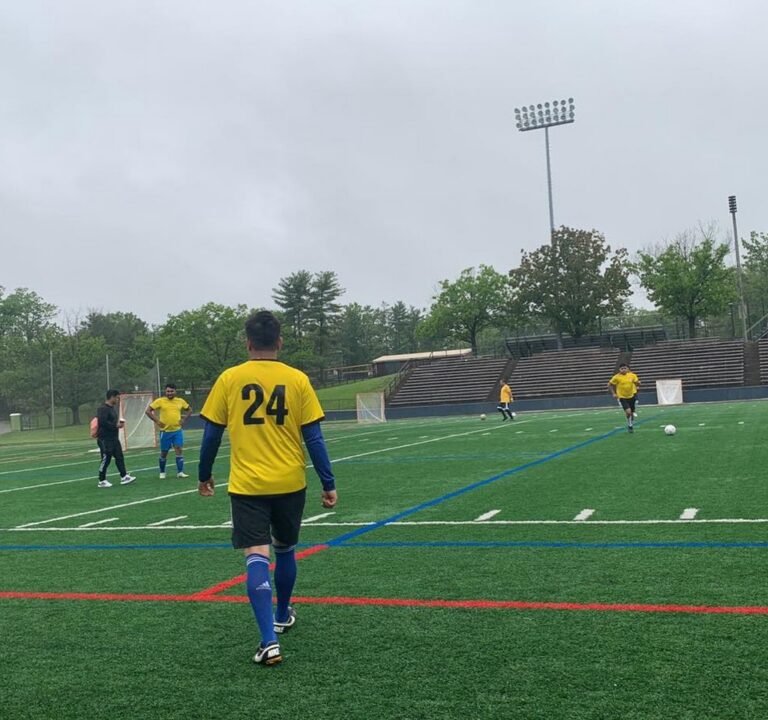 Soccer Field image 3