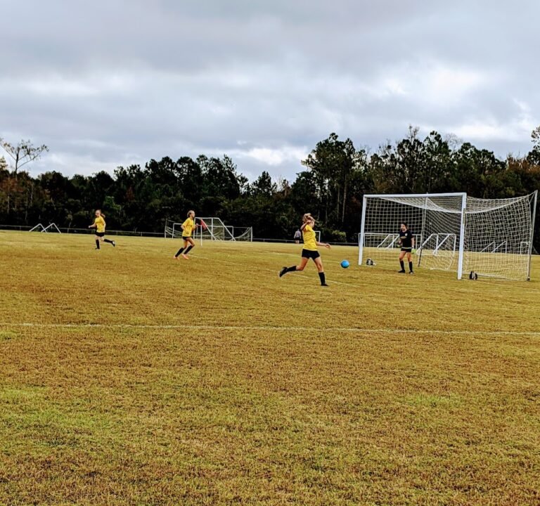 Soccer Field image 2