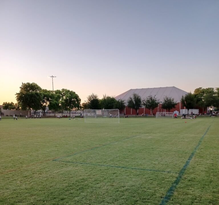Soccer Field image 2