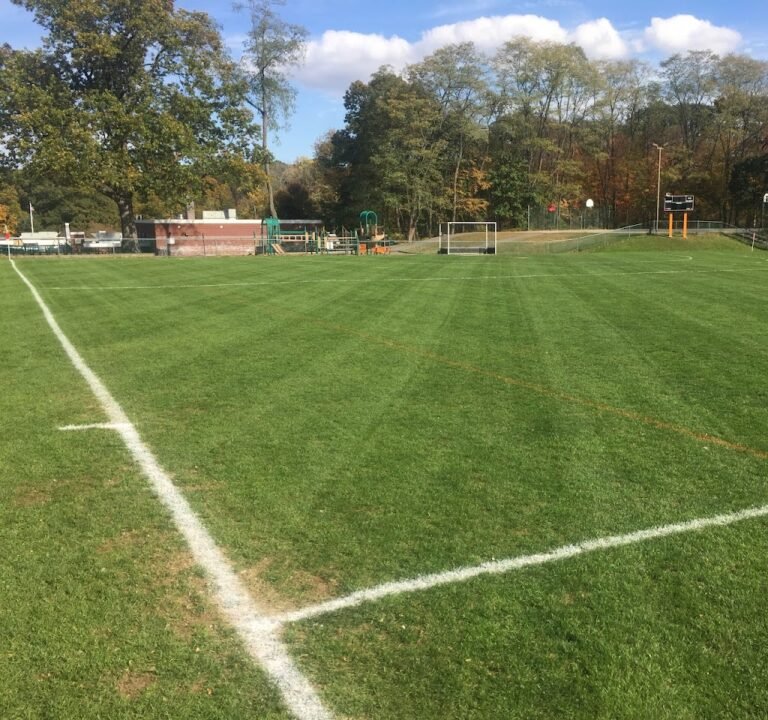 Soccer Field image 2