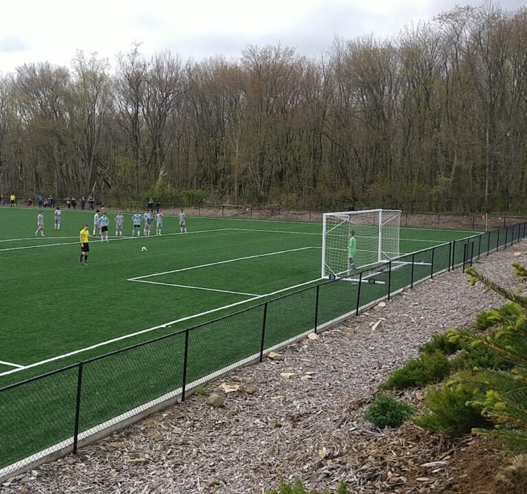 Soccer Field image 3