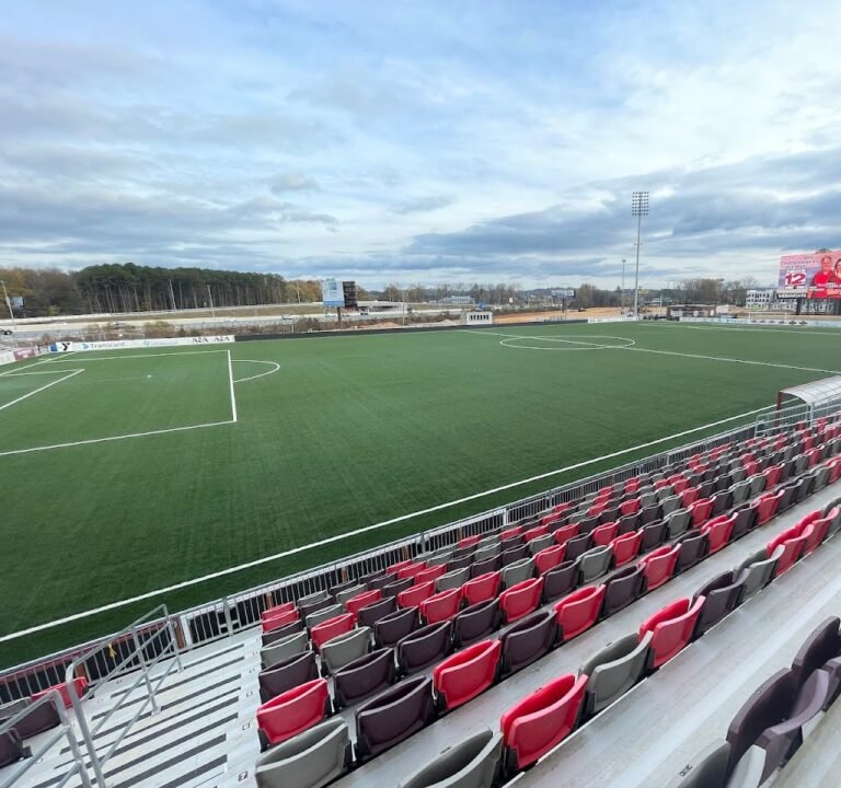 Soccer Field image 2