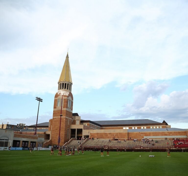 Soccer Field image 2