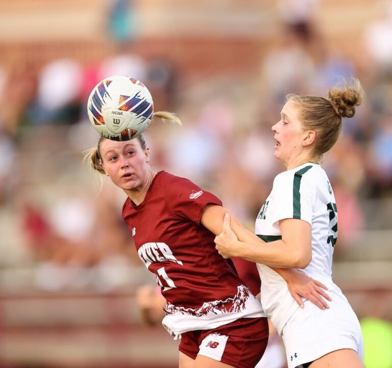 Soccer Field image 3