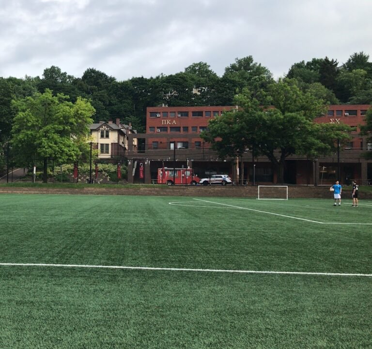 Soccer Field image 2