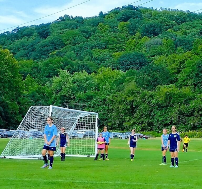 Soccer Field image 3