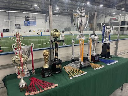 Soccer Field image 1
